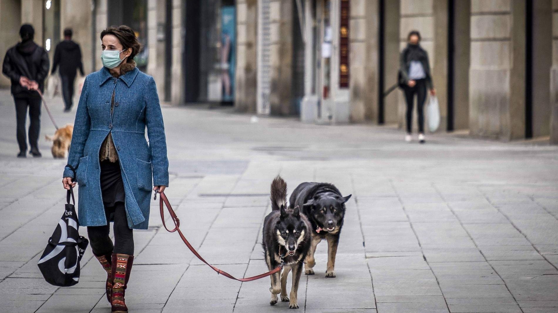 Moguće uvođenje novih pravila o šetanju pasa u Njemačkoj