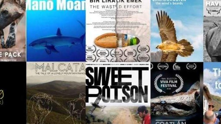 VIVA film festival: Danas online projekcije ekoloških filmova