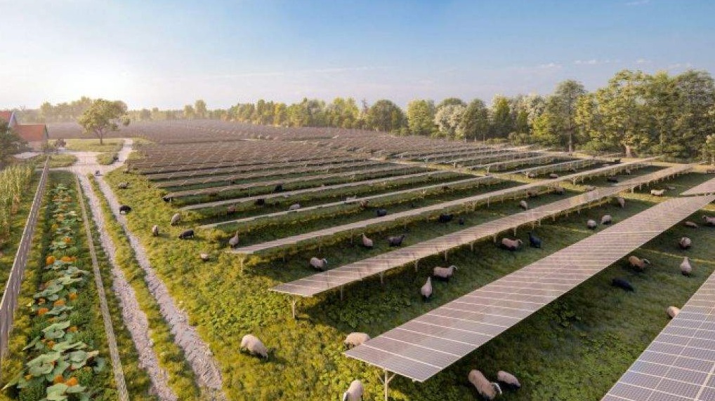 Bečka elektroprivreda Wien Energie - Rekordna ekspanzija solarne energije