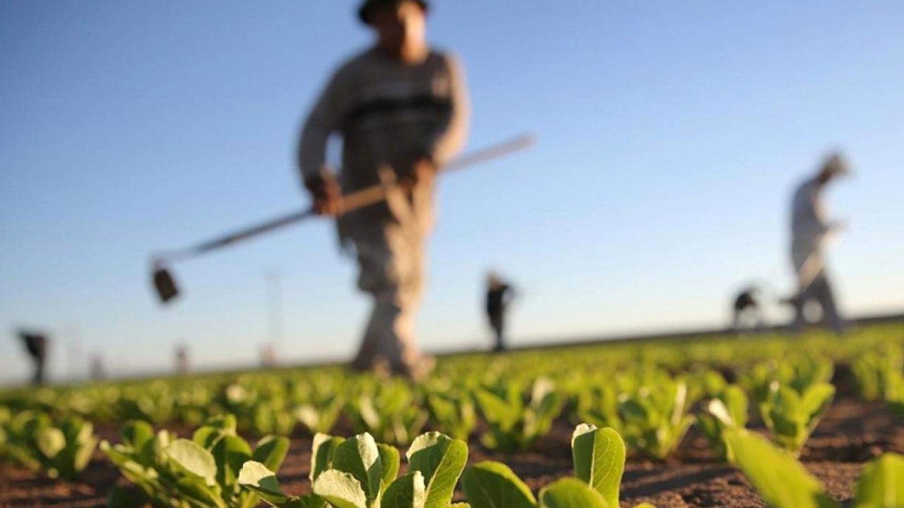 Poljoprivrednici traže da prelevmani i carine obuhvate i zemlje CEFTA-e