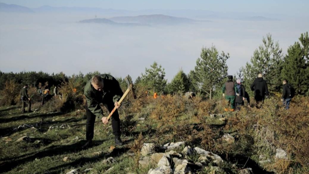 U Kantonu Sarajevo počela velika akcija pošumljavanja: Plan zasaditi pola miliona sadnica
