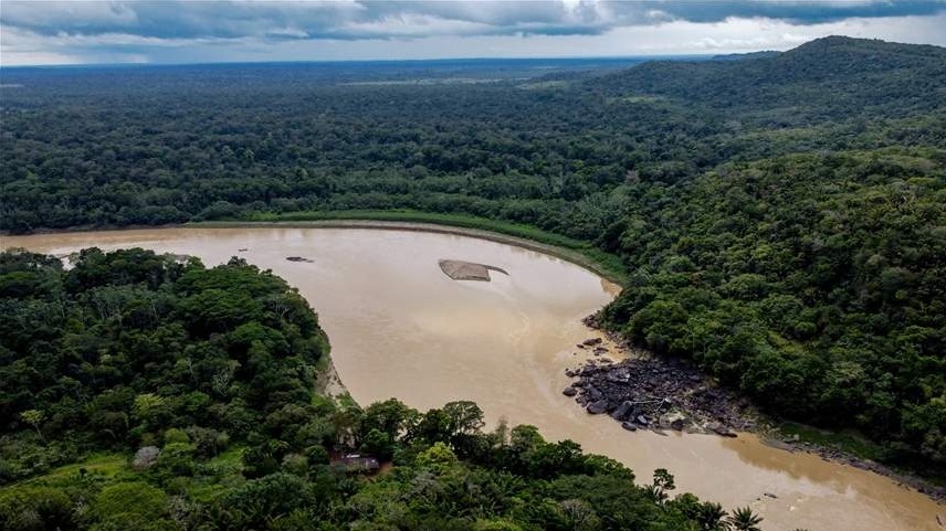 Krčenje šuma u brazilskoj Amazoniji ove godine smanjeno za 31 posto