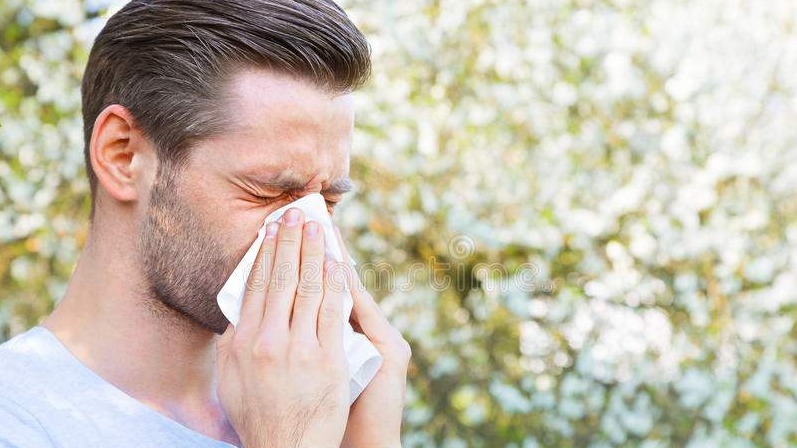 KS - Smanjenje koncentracije polena ambrozije u zraku i polena drugih alergenih biljaka