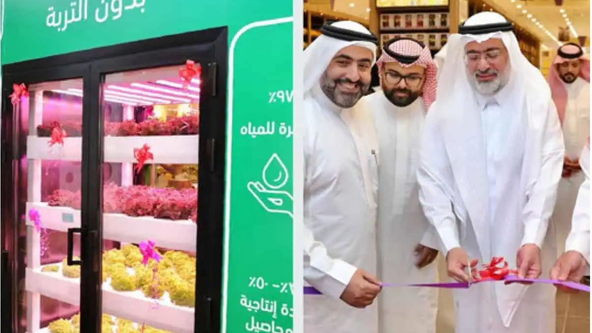 Saudijska Arabija pokrenula projekat uzgoja poljoprivrednih proizvoda unutar prodavnica