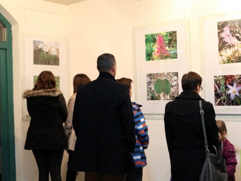Medresa učestvovala u izložbi "Endemične i rijetke biljke Grada Mostara"