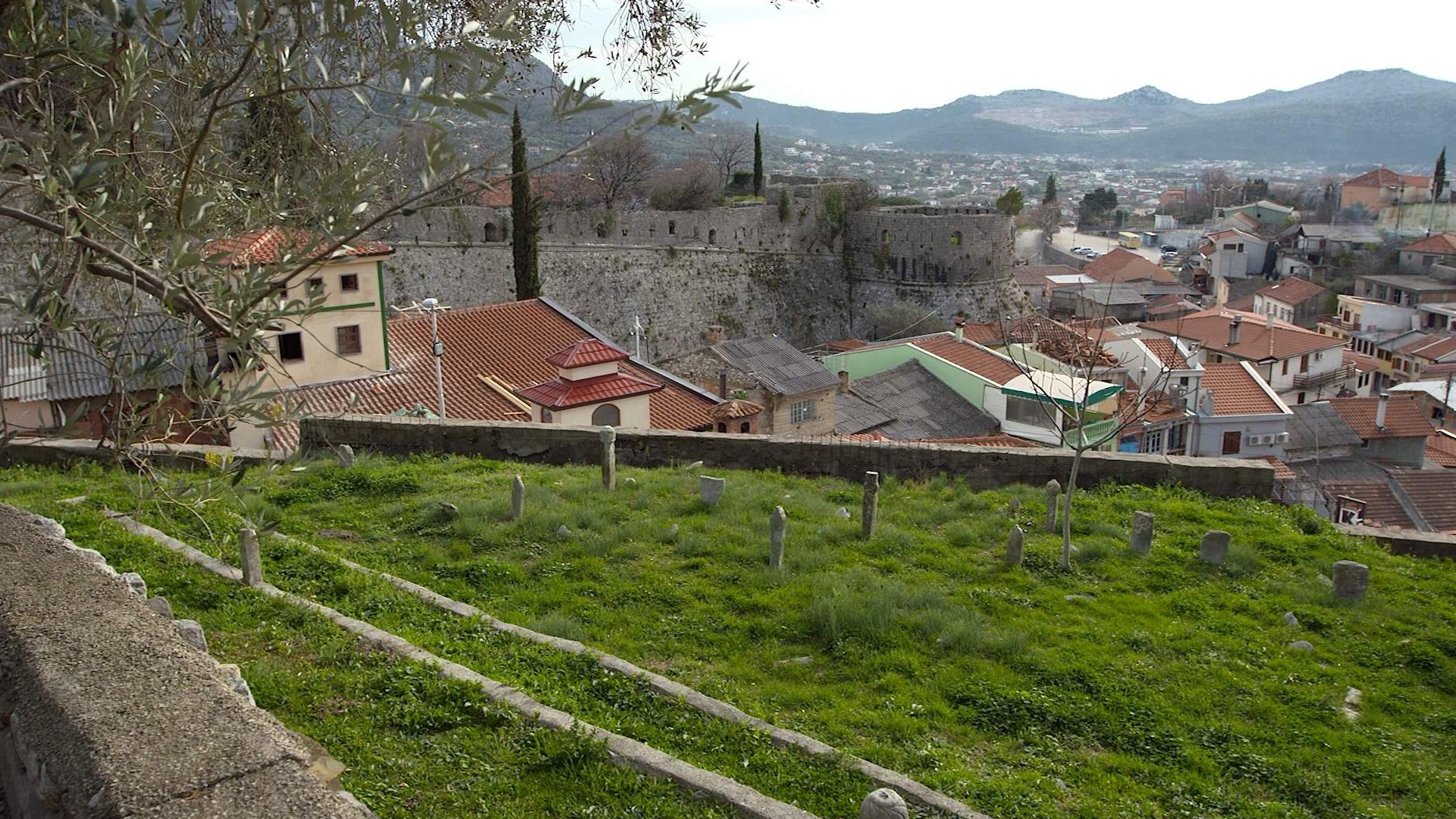 Islamska zajednica najveći maslinar u Crnoj Gori (VIDEO)