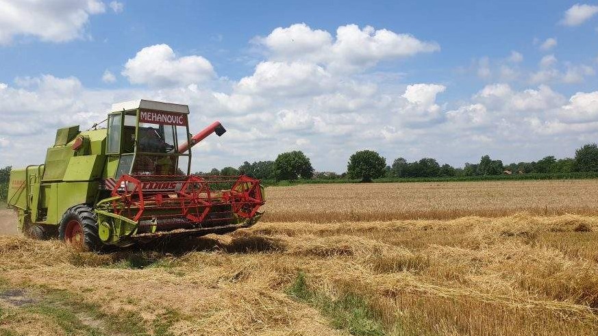 Janja: Završena žetva pšenice sa većine vakufskih parcela