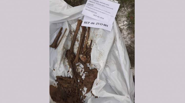 Posmrtni ostaci najmanje jedne žrtve ekshumirani na području Zvornika