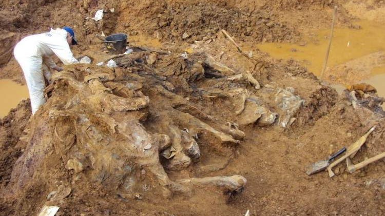 Ekshumacija na Jabučkom Sedlu, pronađeni posmrtni ostaci najmanje tri žrtve