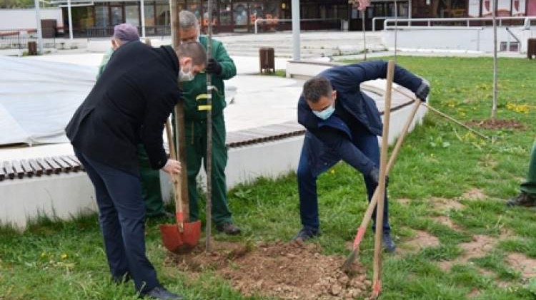 Akcija sadnje drveća u svim glavnim gradovima zemalja zapadnog Balkana
