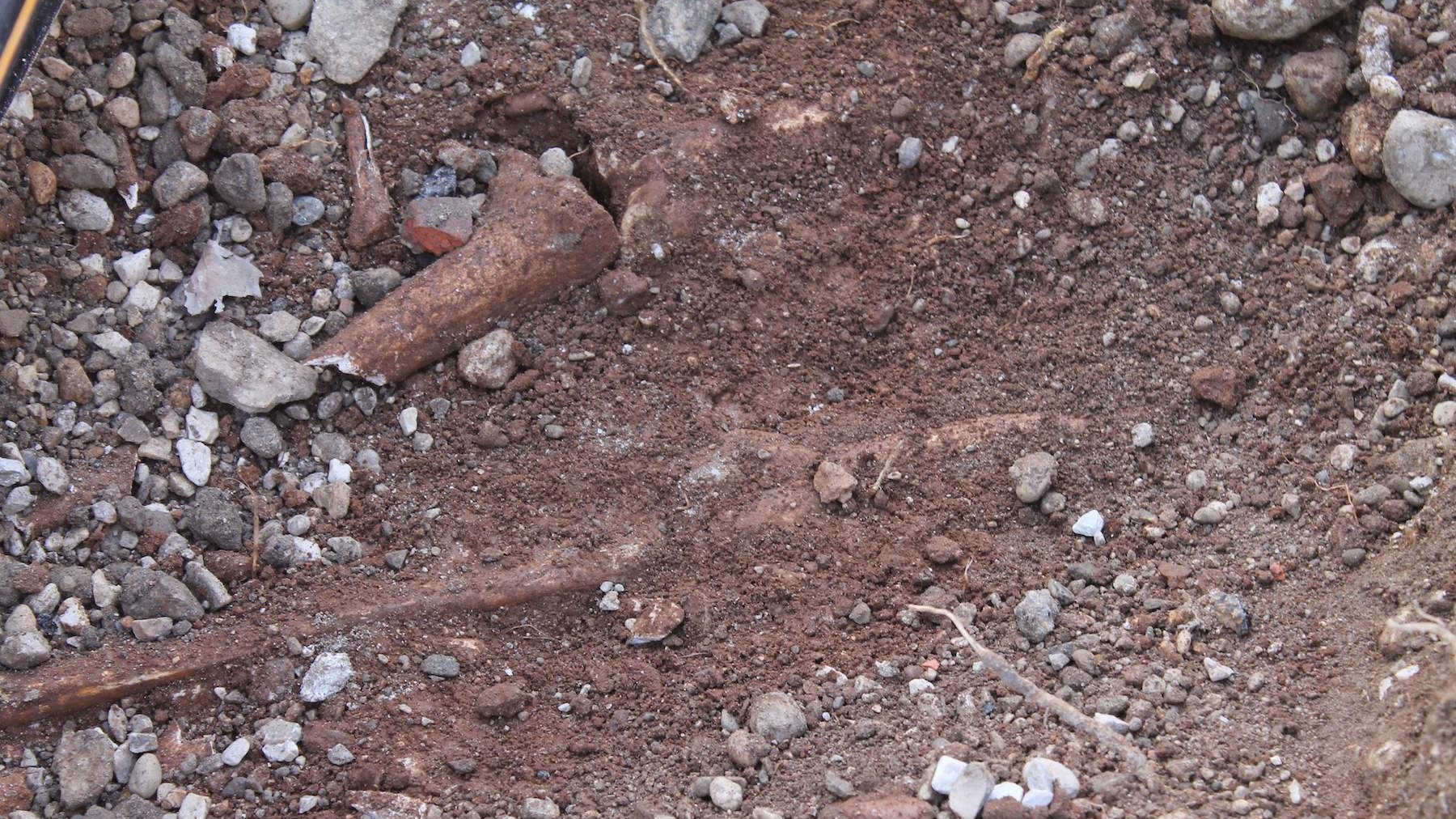 Islamska zajednica od gradonačelnika Mostara ponovo zatražila temeljitu ekshumaciju posmrtnih ostataka s lokaliteta Lakišića harema