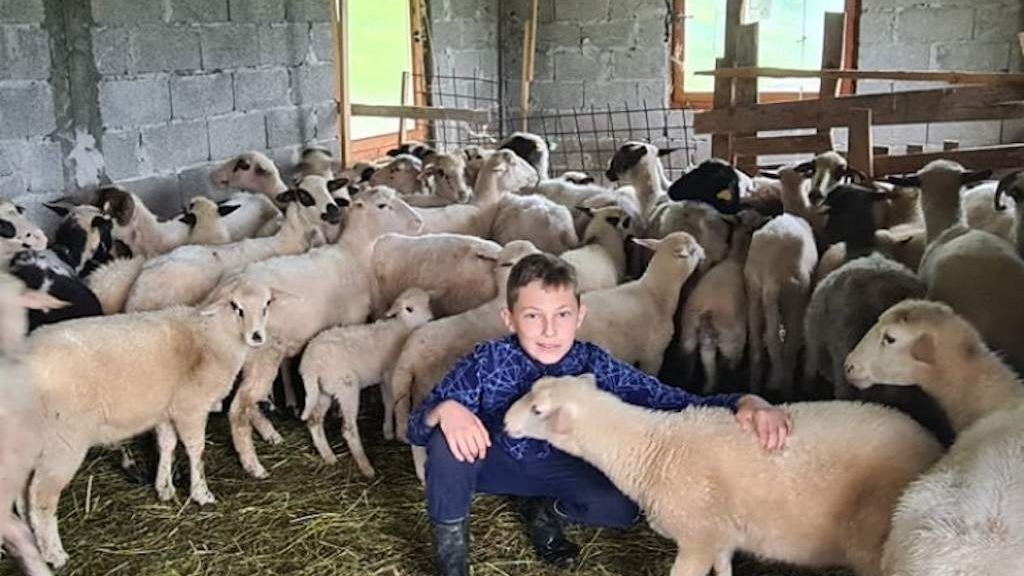 'Merhamet' Tuzla i BH Telecom pomogli mladom farmeru s područja Bratunca