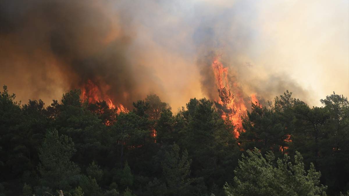 Pod kontrolom 107 od ukupno 112 šumskih požara u Turskoj