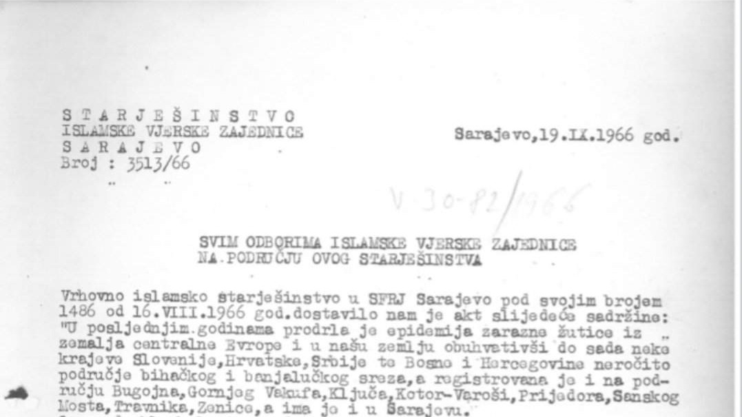 Kako se Islamska zajednica borila protiv epidemije žutice u Bosni i Hercegovini 1966. godine