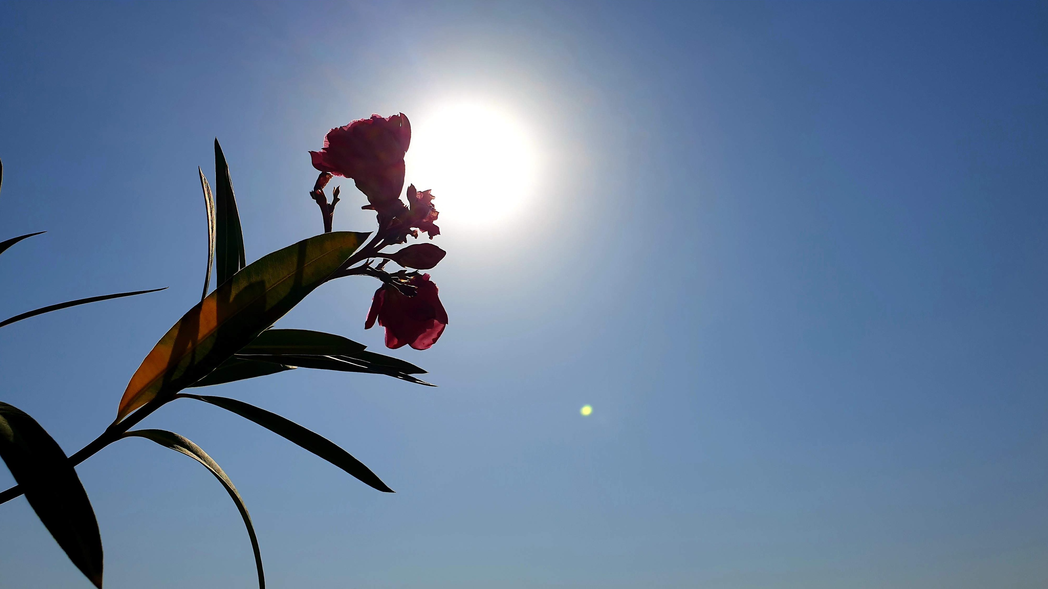 Stručnjaci savjetuju: Kako izbjeći sunčanicu i posljedice toplotnog udara