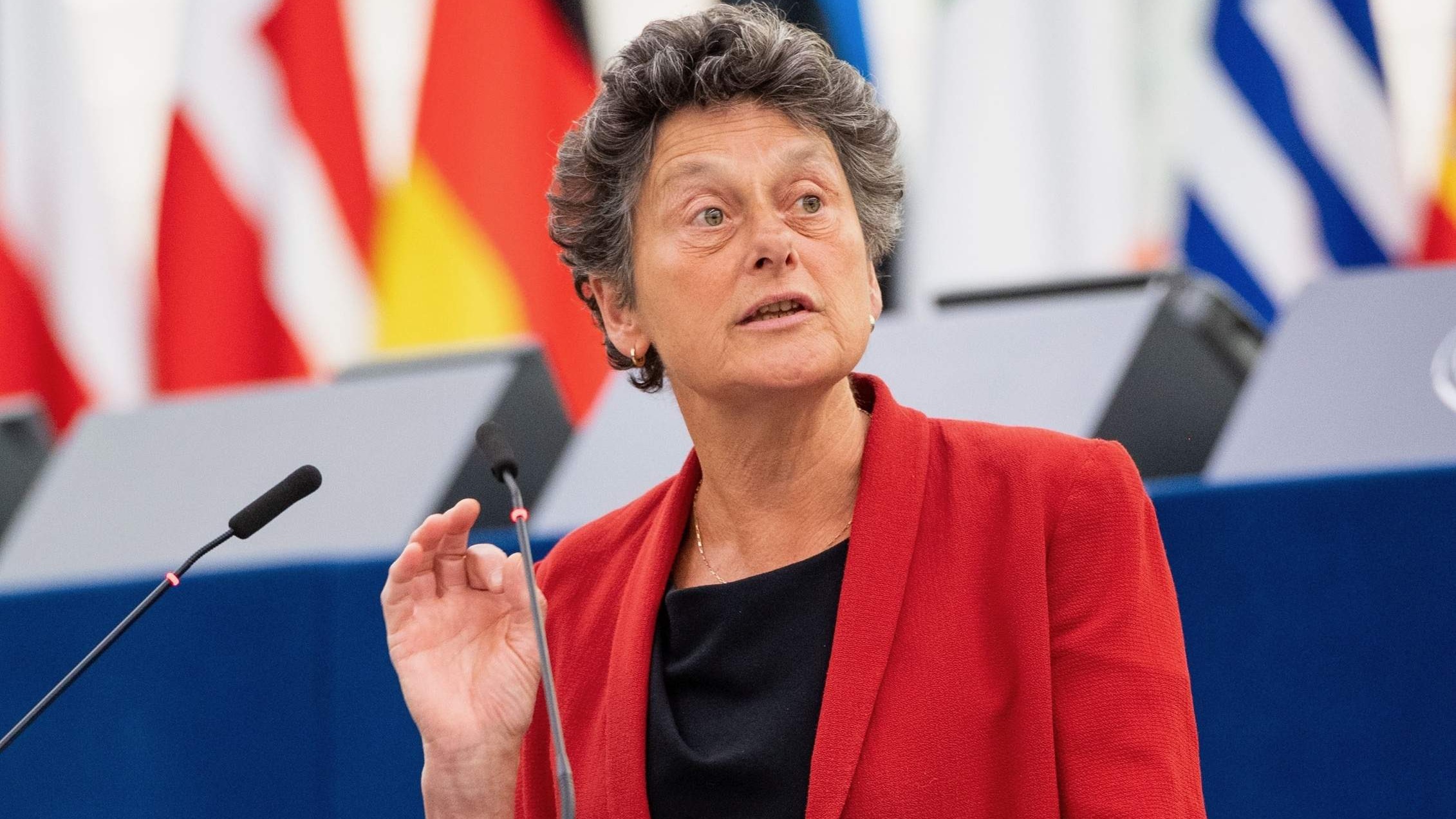 Europarlamentarka Strik: Schmidt otkazao dolazak u Brisel, već dva mjeseca se krije