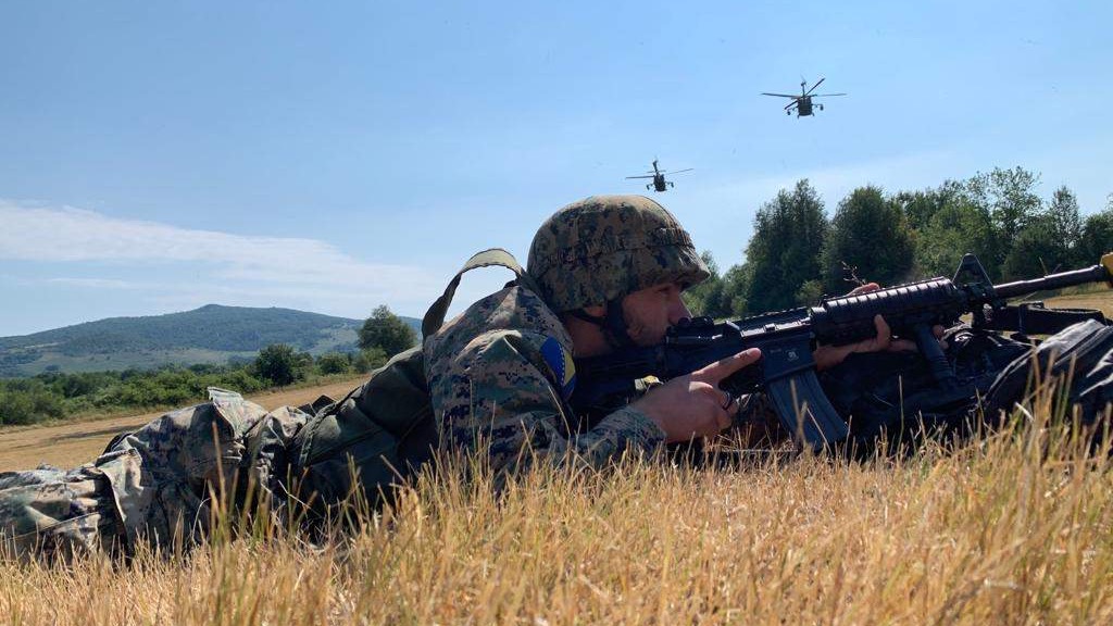 Oružane snage su najbolji i najorganizovaniji dio bosanskohercegovačkog društva