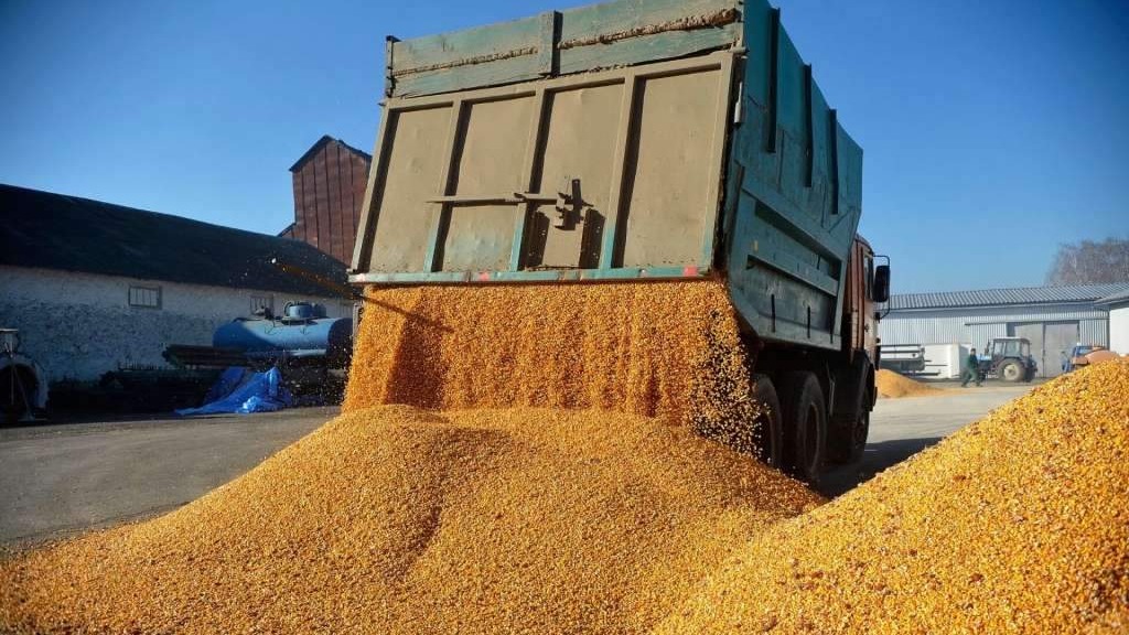 EU će uvesti carine na uvoz ruskog i bjeloruskog žita