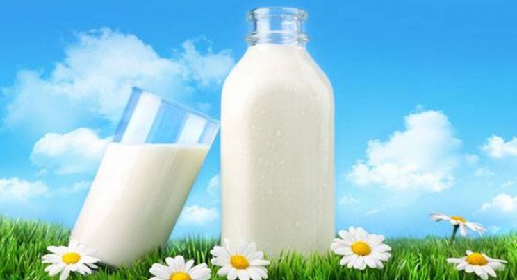 Dilema: Piti ili ne piti mlijeko?