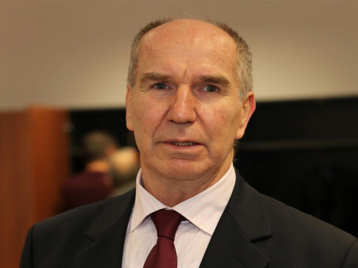 Profesor Neimarlija Intelektualac je osoba koja je uvijek željna rada