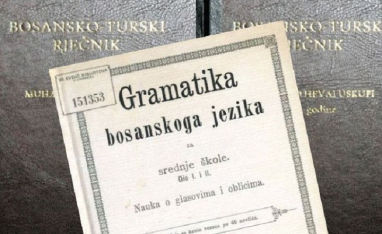 Nova godina, isti problemi – naš bosanski jezik