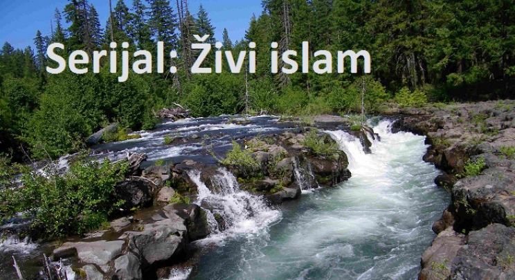 Serijal Živi islam: Sve emisije u Multimediji Radija BIR