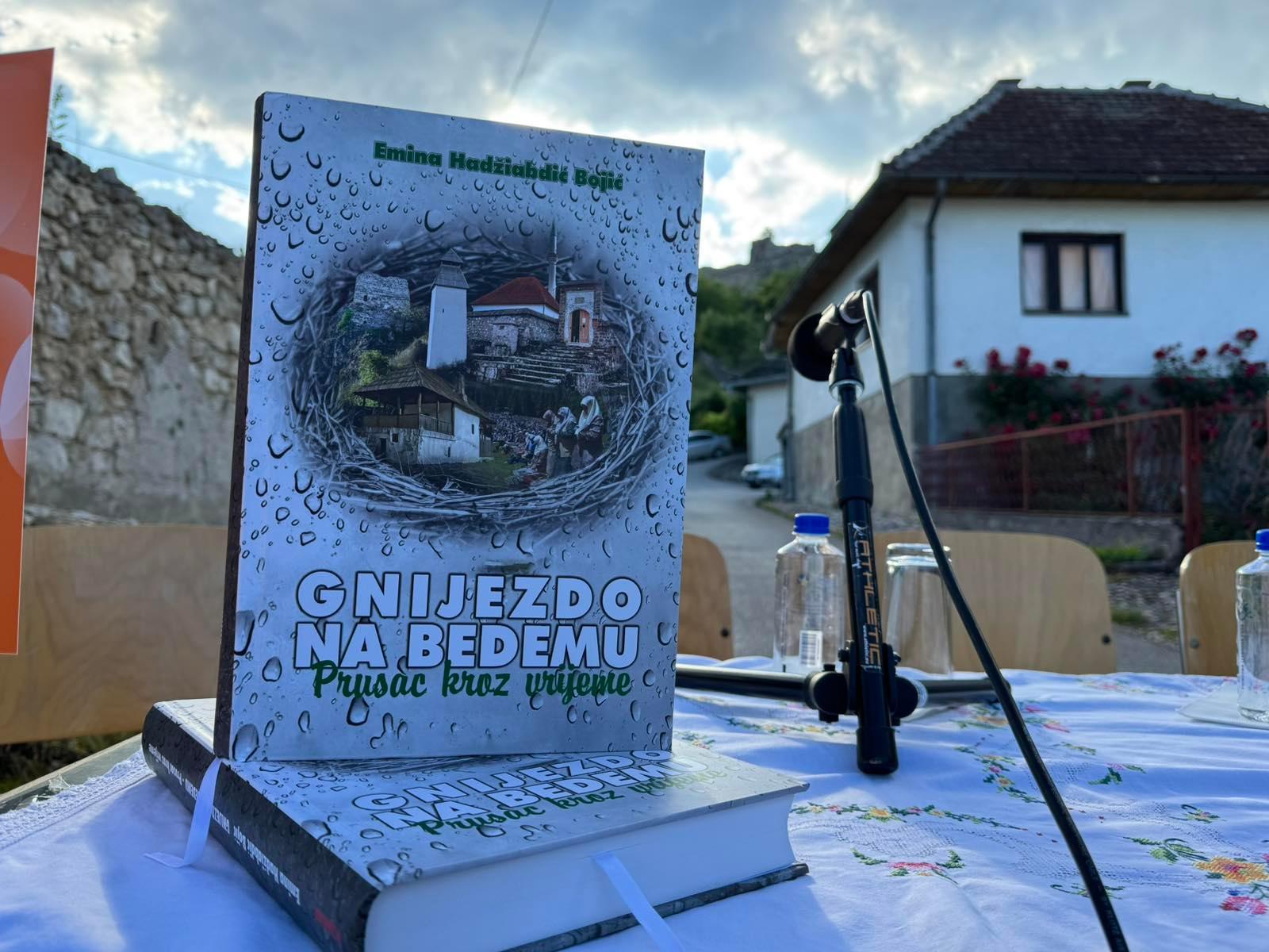 Knjiga Gnijezdo na bedemu