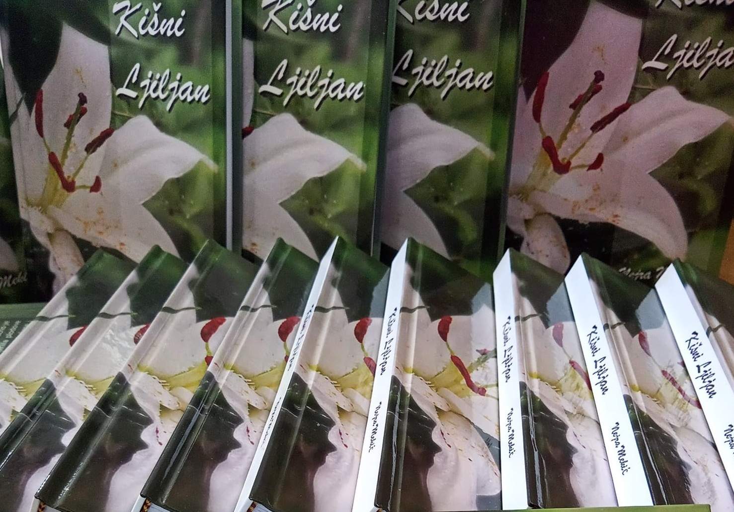 KISNI-LJILJAN-SLIKA-ROMAN.jpg -