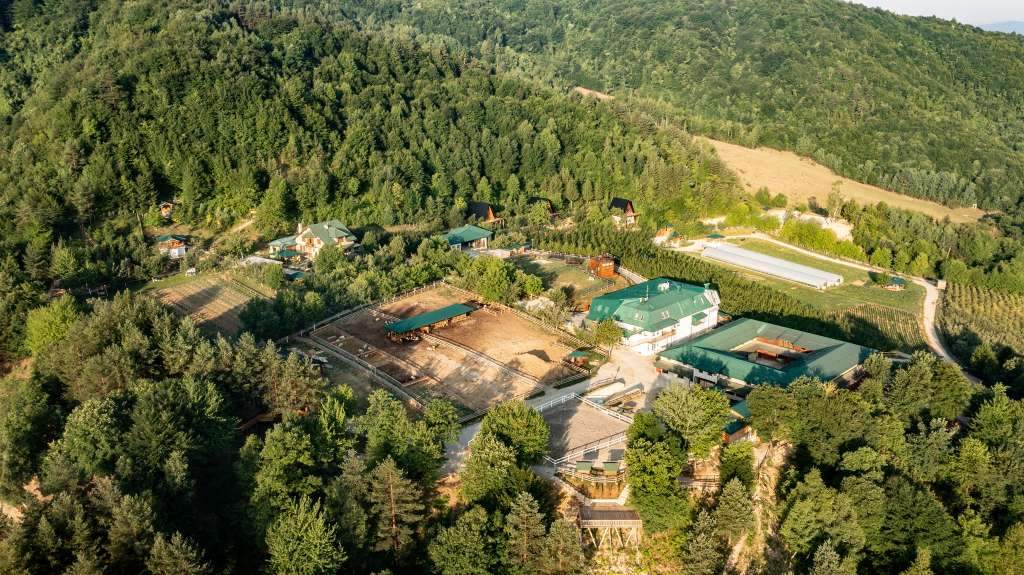 l_be15c2b84be3f7dcb3c7797a67d81aad.jpg - Podrška poljoprivrednim proizvođačima značajna za revitalizaciju i oživljavanje sela u Bosni i Hercegovini 