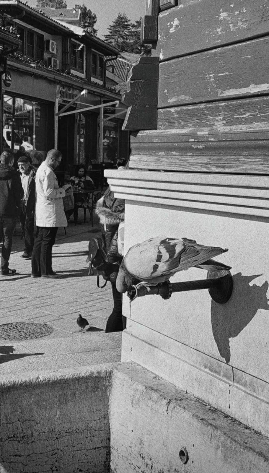 viber_slika_2022-11-05_22-15-03-709.jpg - Sarajevska šetnja: Voda stalno teče na Sebilju kao simbol vjekovne ljubavi i dobrodošlice